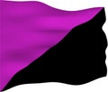 Anarchist Feminism Flag Royalty Free Stock Photo