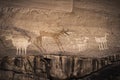 Anasazi petroglyphs representing animals in the Chelly Canyon -