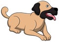 Anatolian Shepherd Cartoon Dog