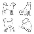 Anatolian Shepherd Dog Animal Vector Illustration Hand Drawn Cartoon Art