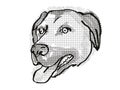 Anatolian Shepherd Dog Dog Breed Cartoon Retro Drawing