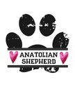 Anatolian Shepherd dog paw print graphic