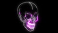 Anatomic Skull Art video laser animation