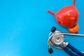 Anatomic study model of bladder with prostate and stethoscope on blue background occupy half of photo, in second half - empty spac Royalty Free Stock Photo
