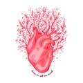 Anatomical heart with flowers. tagline love is all we need. Valentines day card. Vector illustration, elements for