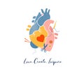 Anatomical heart modern print design, art work, vector design and illustration