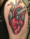 Anatomical heart tattoo