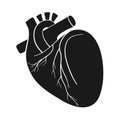 Anatomical Heart Vector Royalty Free Stock Photo