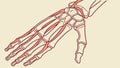 Anatomical Human Hand Skeleton: Detailed Bone Structure for Study, vector design Generative AI Royalty Free Stock Photo
