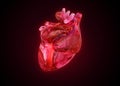 Anatomical human heart as gemstone,