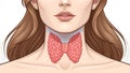 Anatomical Illustration of Human Thyroid Gland Structure Position and Hormone Function Royalty Free Stock Photo