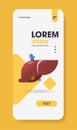 Anatomical liver icon human body internal organ anatomy biology healthcare medical concept smartphone screen mobile app