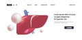 anatomical liver icon human body internal organ anatomy medicine healthcare concept