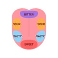 Anatomical map of tongue with parts sense taste. Taste buds, structure sections on tongue bitter, salty, sour, sweet