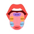 Anatomical map of tongue with parts sense taste. Taste buds, structure sections on tongue bitter, salty, sour, sweet