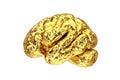 Anatomical Model of Human Golden Brain. 3d Rendering