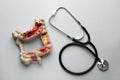 Anatomical model of large intestine and stethoscope on grey background, flat lay. Gastroenterology