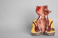Anatomical model of rectum with hemorrhoids on background. Space for text