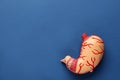 Anatomical model of stomach on blue background, top view with space for text. Gastroenterology