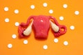 Anatomical model of the uterus with appendages is on an orange background - the color of danger for the emergence and presence of