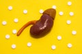 Anatomical realistic figure or model of human or animal kidney on yellow background, surrounded by white tablets or pills, which a