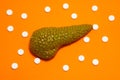 Anatomical realistic figure or model of human or animal pancreas gland on orange background, surrounded by white tablets or pills,