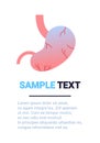 Anatomical stomach icon human body organ anatomy healthcare medical concept infographic template copy space vertical