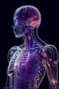 anatomical structure of body of a female cyborg human with artificial intelligence Royalty Free Stock Photo