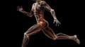 Anatomical structure of muscular system of human body, dark background. AI generated.