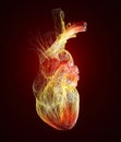 Anatomical study of a heart. Heart problems, heart attack. Silhouette. Royalty Free Stock Photo