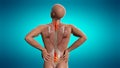 Anatomical vision back pain. Spine anatomy. 3D illustration