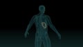Anatomically accurate 3d animation of human body x-ray scan with visible liver 3d render