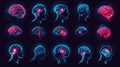 Anatomically correct illustrations of the human brain with glowing highlights Royalty Free Stock Photo