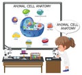 Anatomy of animal cell Biology Diagram