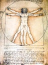 Vitruvian Man Poster by DaVinci Royalty Free Stock Photo