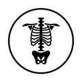 Anatomy, backbone, body, ribs, spine, organ, skeleton icon. Black vector design.