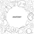 Anatomy background from line icon