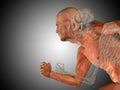 Anatomy3D illustration of human man medical or health body chest, head Royalty Free Stock Photo