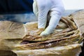 Anatomy dissection of a cadaver showing adductor canal using scalpel scissors and forceps cutting skin flap revealing important st Royalty Free Stock Photo