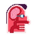 Anatomy Head pixel art. cartoon Internal scheme 8 bit. Brain and eye. Taste buds. Skull cut