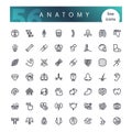 Anatomy of the human body Line Icons Set Royalty Free Stock Photo