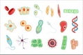 Anatomy of human cells set of detailed vector Illustrations