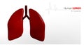 Anatomy of Human Lungs Royalty Free Stock Photo