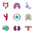 Anatomy icons set, cartoon style Royalty Free Stock Photo
