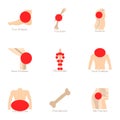 Anatomy icons set, cartoon style Royalty Free Stock Photo