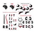 Anatomy icons set