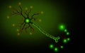 Anatomy Illustration of Active Human Neuron Cell Royalty Free Stock Photo