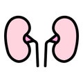 Anatomy kidney icon color outline vector