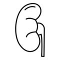 Anatomy kidney icon, outline style Royalty Free Stock Photo