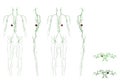 Anatomy Male Lymphatic System Various Angles Royalty Free Stock Photo